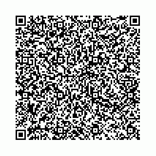 vCard 78041003703