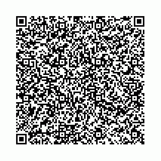 vCard 78041003733