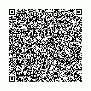 vCard 78041003738