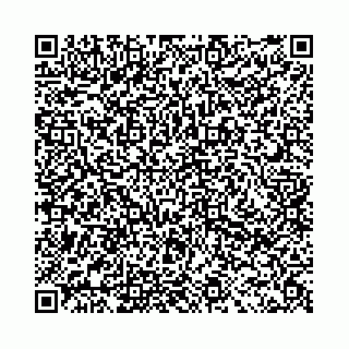 vCard 78041003753