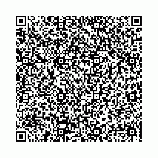 vCard 78041003754