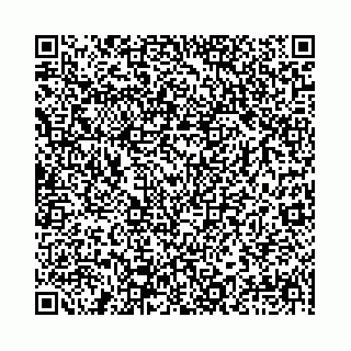 vCard 78041003757
