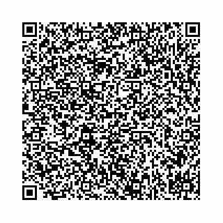 vCard 78041003789