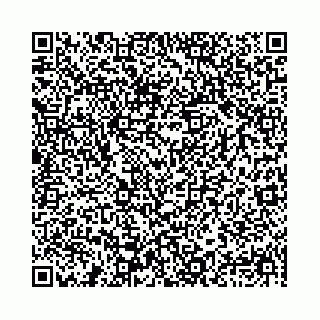 vCard 78041003791