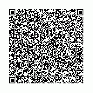 vCard 78041003797