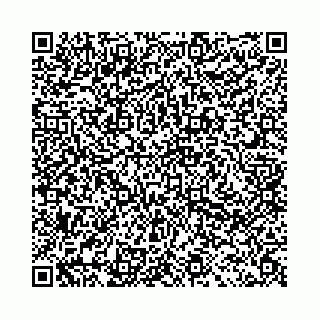 vCard 78041003902
