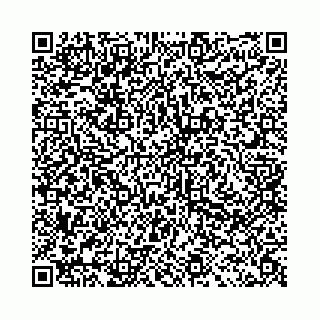 vCard 78041003909