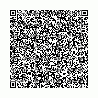 vCard 78041003979