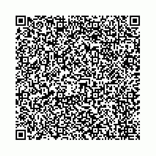 vCard 78041006402