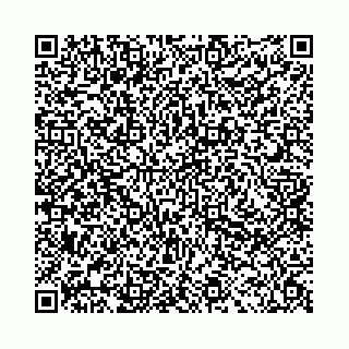 vCard 78041006403
