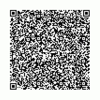 vCard 78041006409
