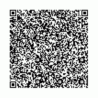 vCard 78041006433