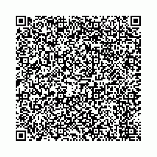 vCard 78041006451