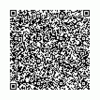 vCard 78041006465