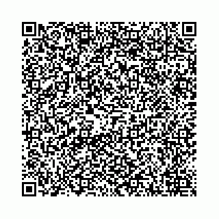 vCard 78041006499