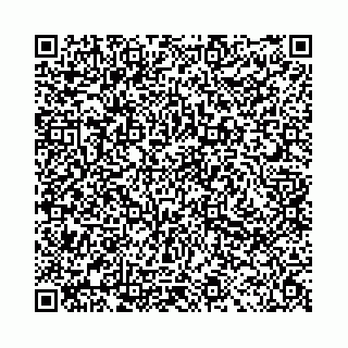 vCard 78041006503