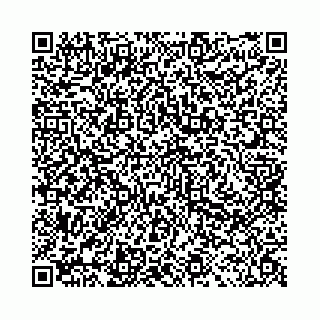 vCard 78041006509