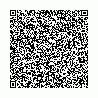 vCard 78041006535