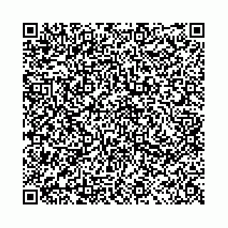vCard 78041006536
