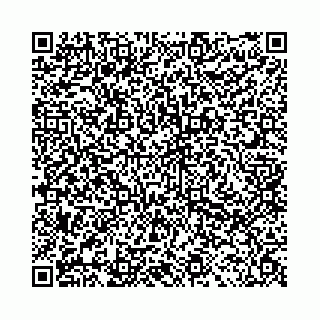 vCard 78041006540