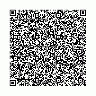 vCard 78041006545
