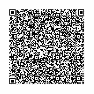 vCard 78041006550