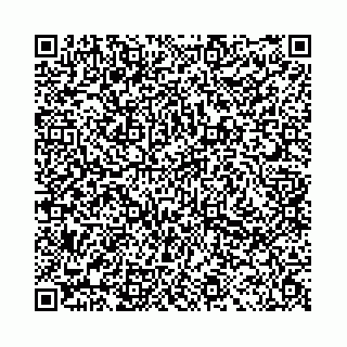 vCard 78041006563