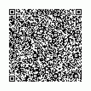 vCard 78041006580