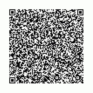 vCard 78041006583