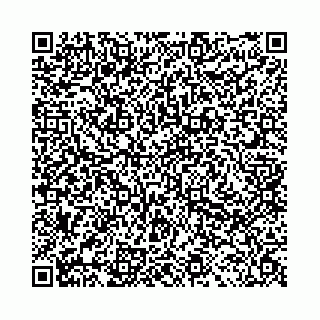vCard 78041006589