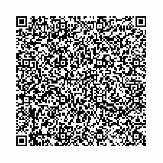 vCard 78041006629