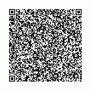 vCard 78041006705