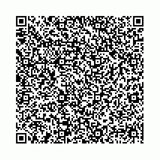 vCard 78041006733