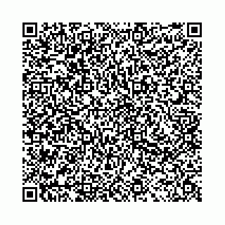 vCard 78041006751