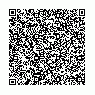 vCard 78041006799