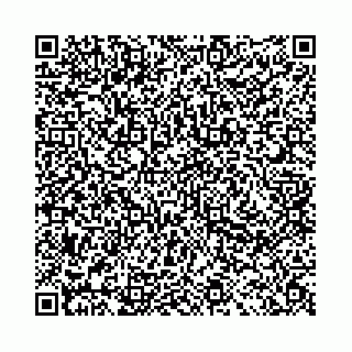 vCard 78041008403
