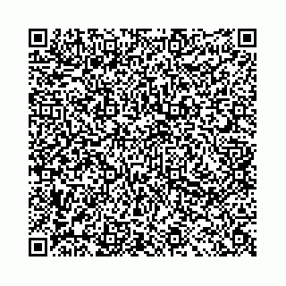 vCard 78041008409