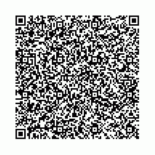 vCard 78041008474
