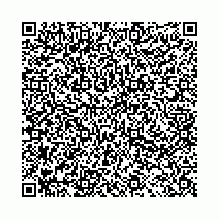 vCard 78041008482