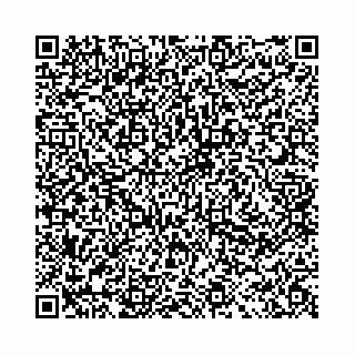 vCard 78041008530