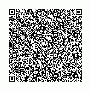 vCard 78041008533