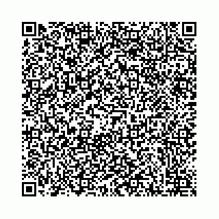 vCard 78041008535