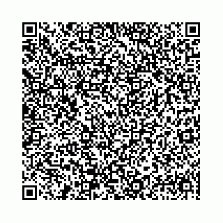 vCard 78041008540
