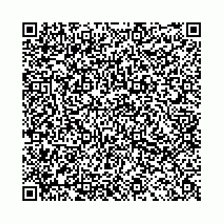 vCard 78041008541