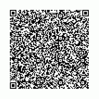 vCard 78041008545