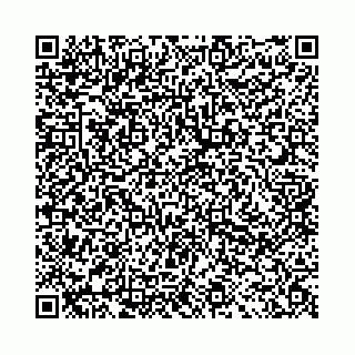 vCard 78041008550