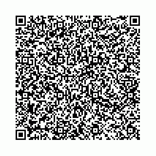 vCard 78041008552