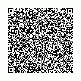 vCard 78041008563