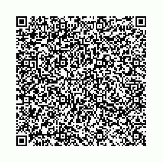 vCard 78041008568