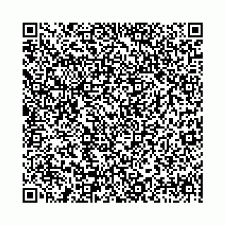vCard 78041008577
